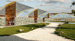 X ZEN ARCHITECTS